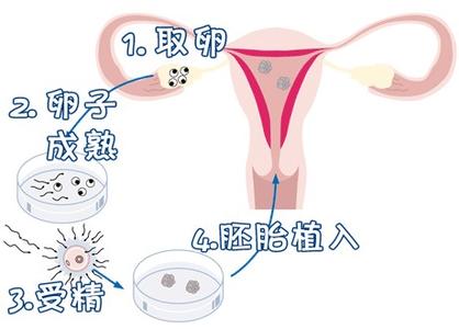 万级层流胚胎实验室